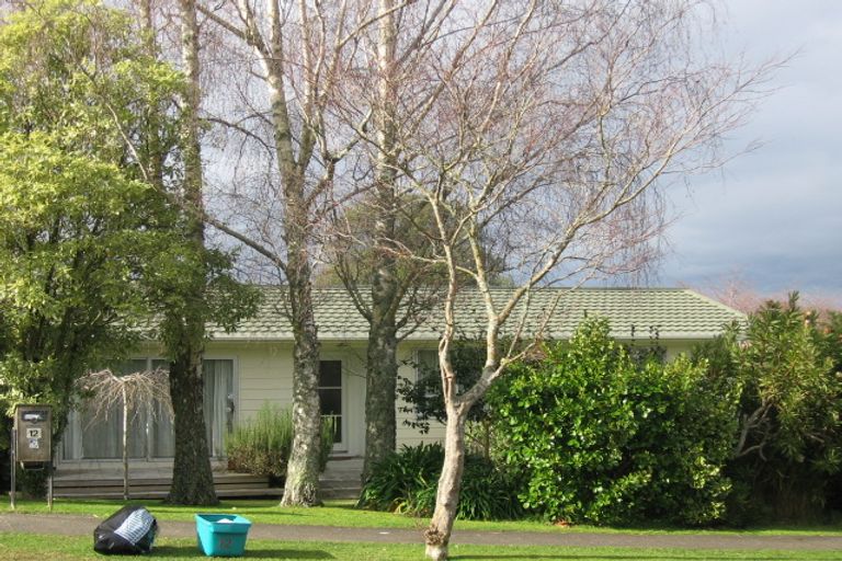 Photo of property in 12 Maple Avenue, Dinsdale, Hamilton, 3204