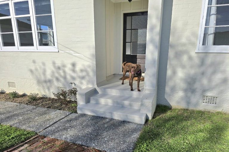 Photo of property in 58 Hall Crescent, Epuni, Lower Hutt, 5011