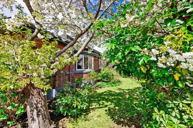 Photo of property in 58 Wellington Street, Georgetown, Invercargill, 9812