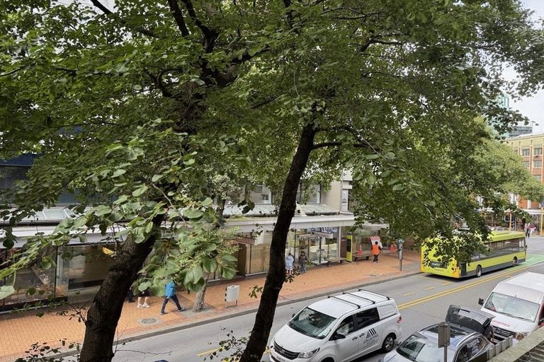 Photo of property in Gerondis Bldg Apartments, 102/60 Willis Street, Wellington Central, Wellington, 6011