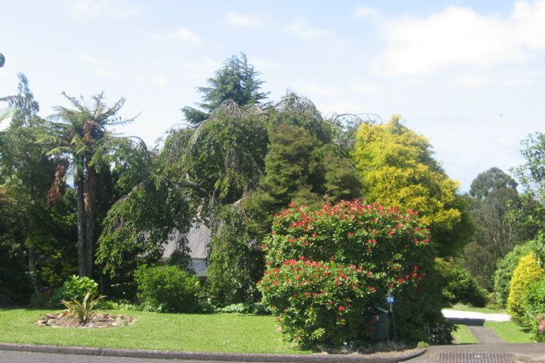 Photo of property in 74 Mountain View Road, Otorohanga, 3900