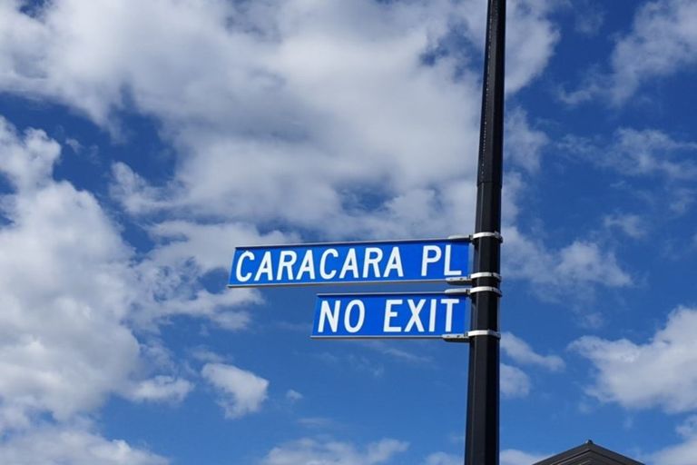 Photo of property in 9 Caracara Place, Rolleston, 7615