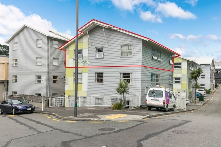 Photo of property in Drummond Street Flats, 28/19u Drummond Street, Mount Cook, Wellington, 6021