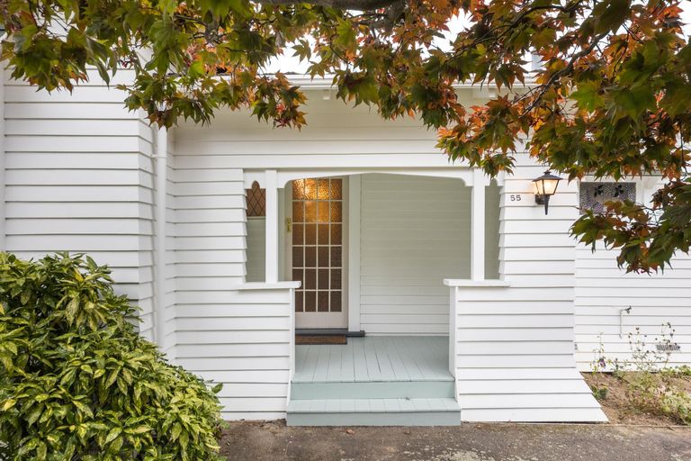 Photo of property in 55 Argyle Avenue, Takaro, Palmerston North, 4410