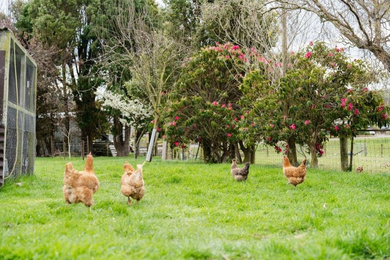 Photo of property in 22 Appleby Street, Hampden, 9410