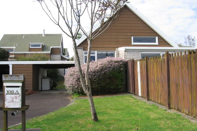 Photo of property in 109a Maungatapu Road, Maungatapu, Tauranga, 3112