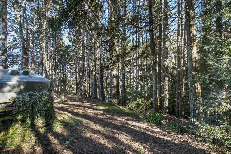 Photo of property in 6 Nandina Lane, Pukekohe, 2120