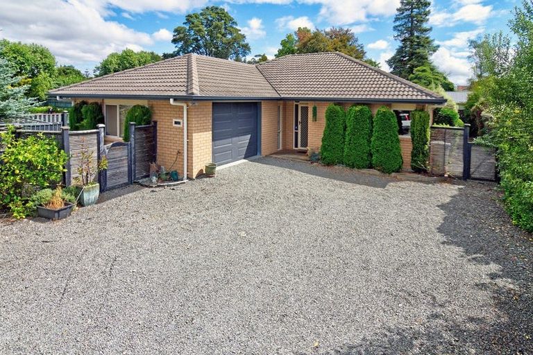Photo of property in 13 Essex Street, Masterton, 5810