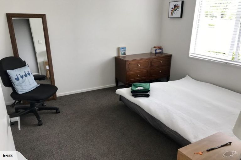 Photo of property in 161 Canon Street, Edgeware, Christchurch, 8013