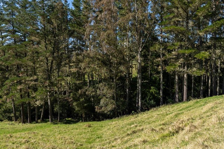 Photo of property in 42 Tirohanga Road, Kawakawa, 0282
