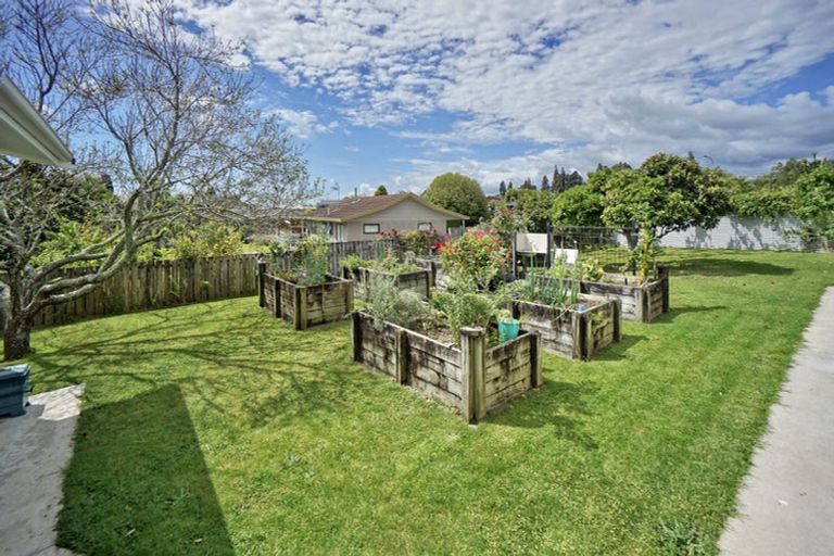 Photo of property in 66 Moehau Street, Te Puke, 3119