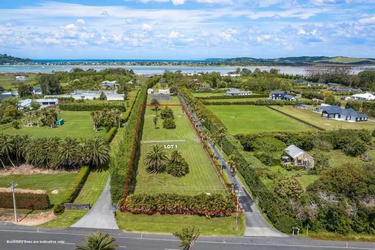 Photo of property in 252a Point Wells Road, Point Wells, 0986