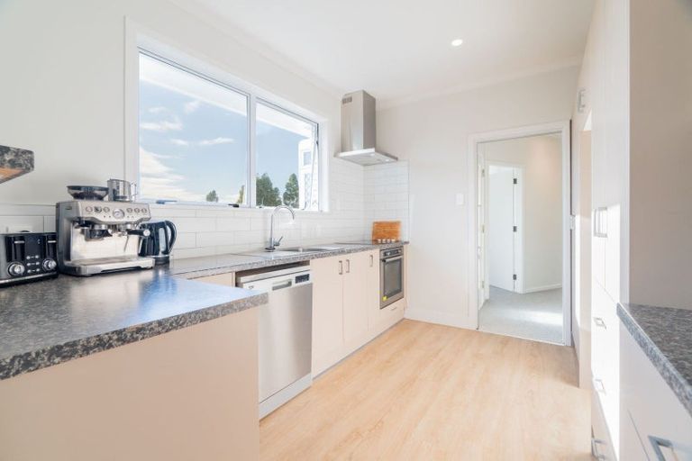 Photo of property in 19 Seifert Street, Forest Lake, Hamilton, 3200