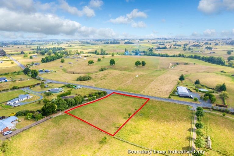 Photo of property in 18 Kiato Lane, Flat Bush, Auckland, 2019