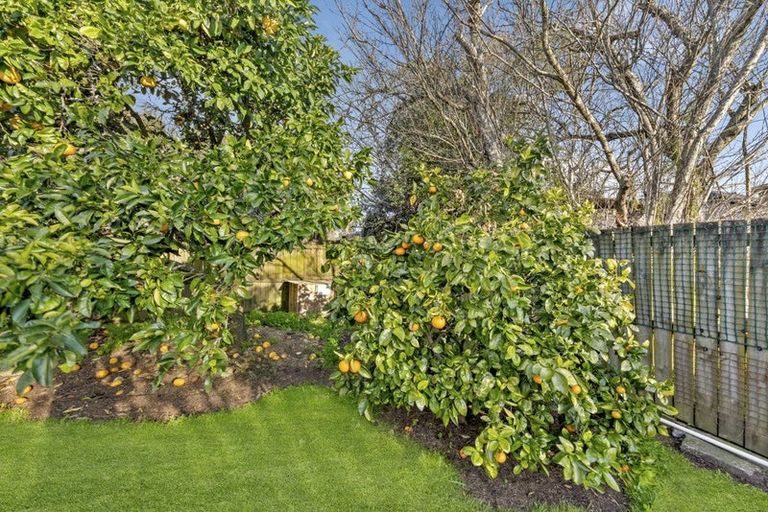 Photo of property in 24 Tiraumea Drive, Pakuranga, Auckland, 2010