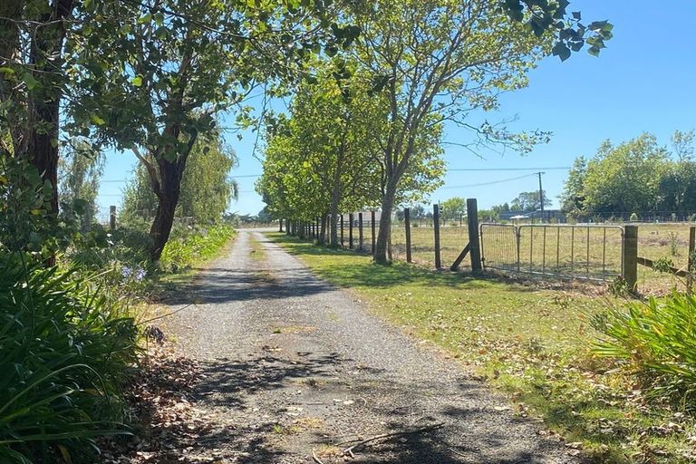 Photo of property in 153 Halcombe Road, Feilding, 4775