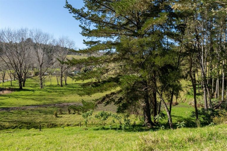 Photo of property in 42 Tirohanga Road, Kawakawa, 0282