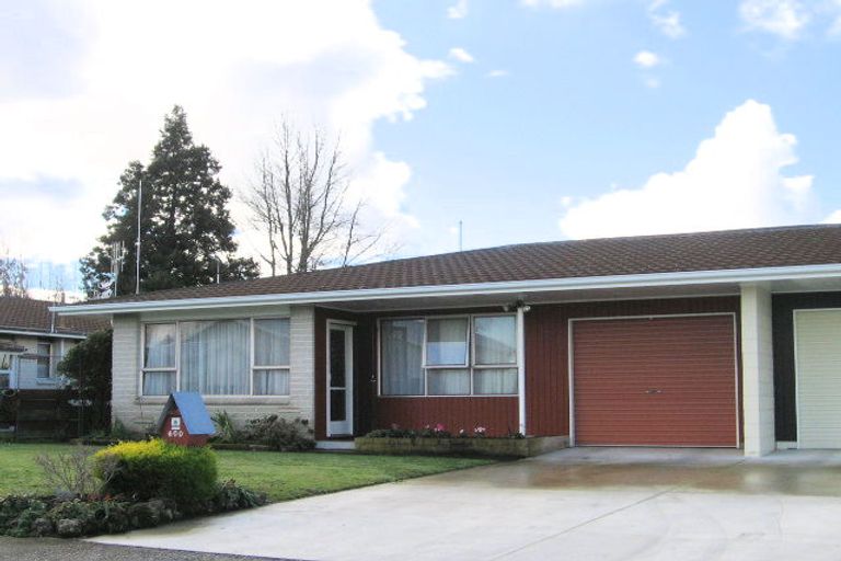 Photo of property in 600 Willow Place, Akina, Hastings, 4122