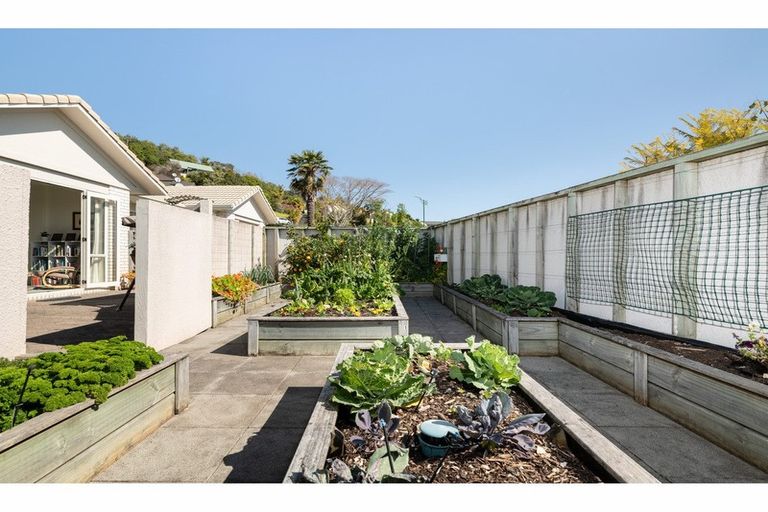 Photo of property in 137 Carlton Street, Bellevue, Tauranga, 3110