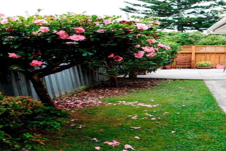 Photo of property in 12a Waimarie Avenue, Paraparaumu, 5032