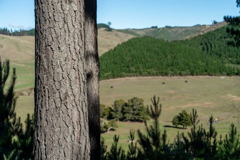Photo of property in 96 Sunridge Park Road, Morrinsville, 3375