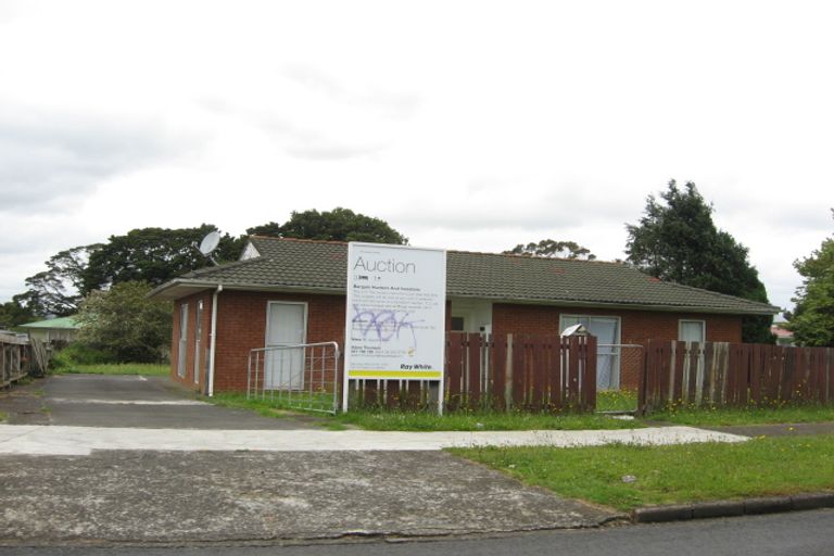 Photo of property in 20 Tasman Street, Pukekohe, 2120