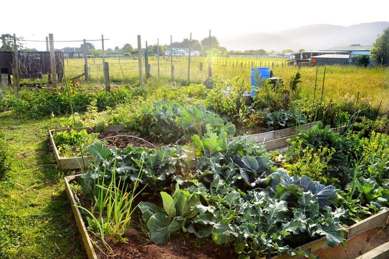 Photo of property in 136c Starr Road, Ngaruawahia, Taupiri, 3791