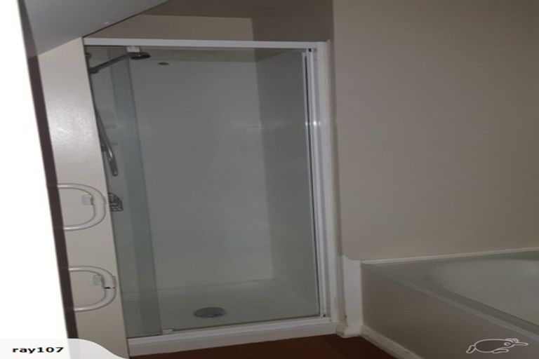 Photo of property in 113 Wallace Street, Mount Cook, Wellington, 6021