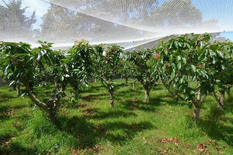 Photo of property in 15 Russell Road, Oamaru North, Oamaru, 9494