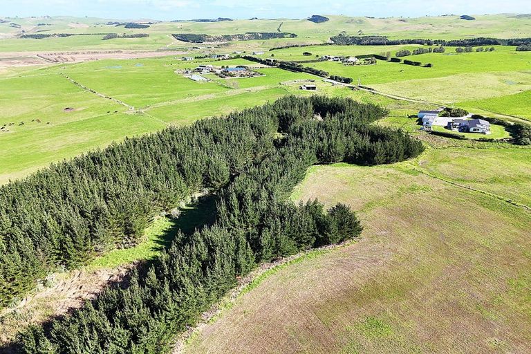 Photo of property in 413a Baylys Coast Road, Dargaville, 0377