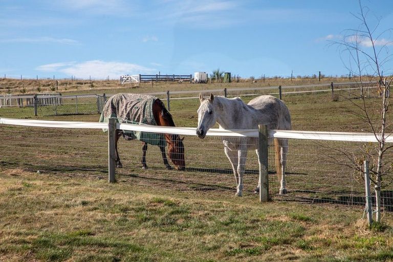 Photo of property in 239 Nelsen Ridge Road, Waikerikeri, Alexandra, 9393