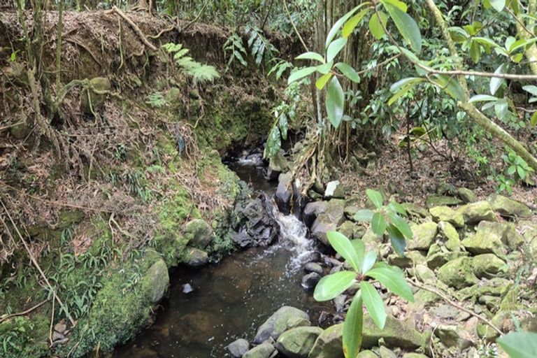 Photo of property in 47 Darwin Road, Outer Kaiti, Gisborne, 4010