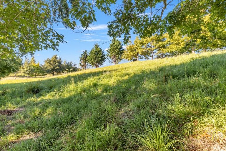 Photo of property in Abbott Street, Waipawa, 4210