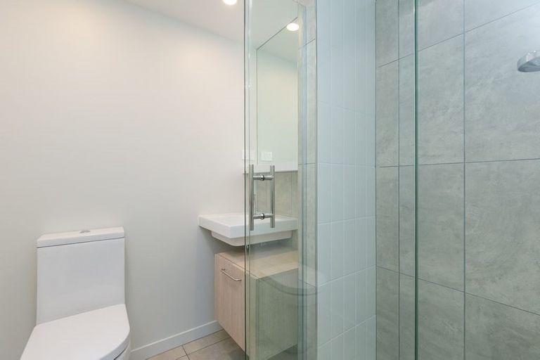 Photo of property in Vsp South, 502/168u Victoria Street, Te Aro, Wellington, 6011