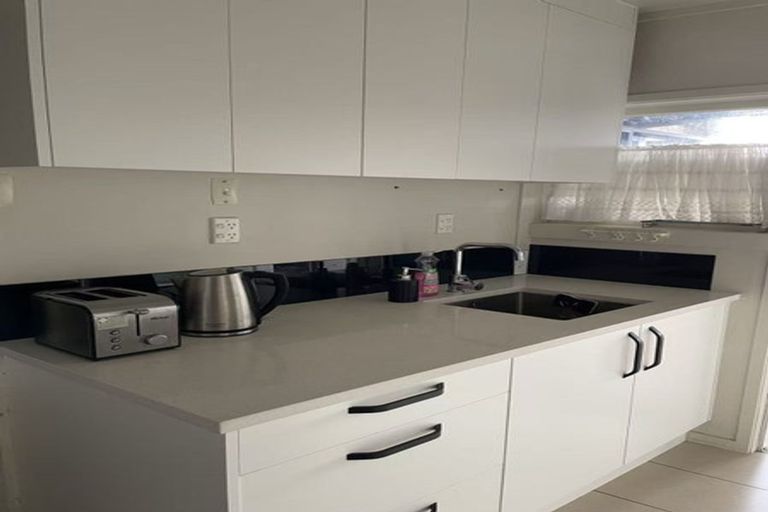 Photo of property in 51 Mountbatten Avenue, Hillcrest, Auckland, 0627