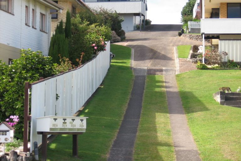 Photo of property in 353a Maungatapu Road, Maungatapu, Tauranga, 3112