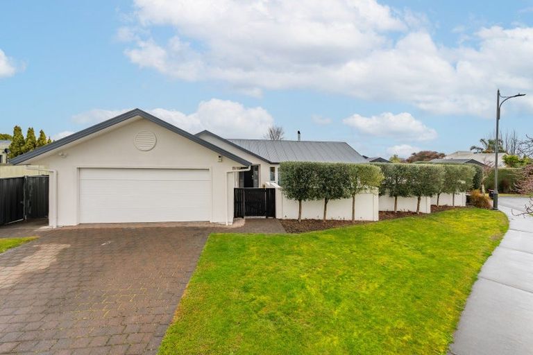 Photo of property in 55 Palmbrook Avenue, Havelock North, 4130