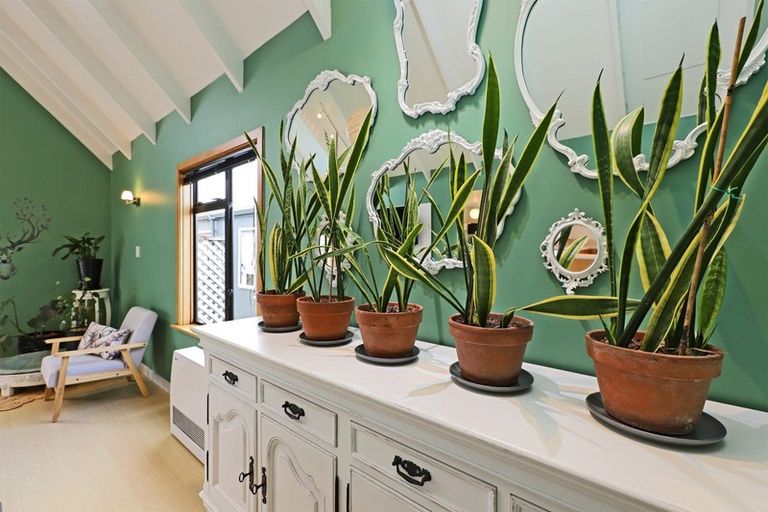 Photo of property in 58a Elbourne Street, Taradale, Napier, 4112