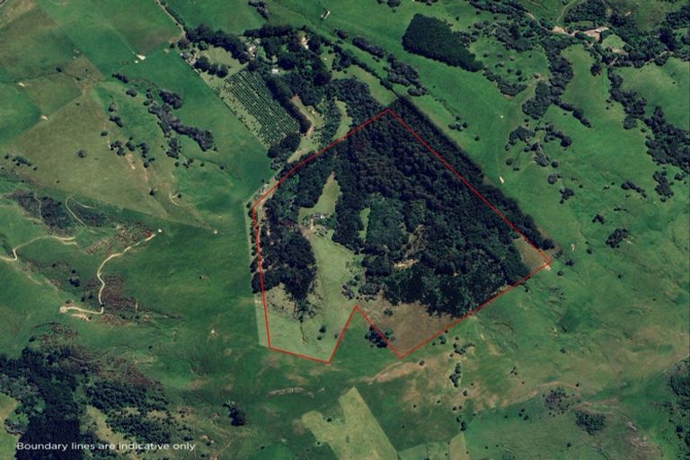 Photo of property in 88 Sawmill Road, Robinsons Bay, Akaroa, 7581