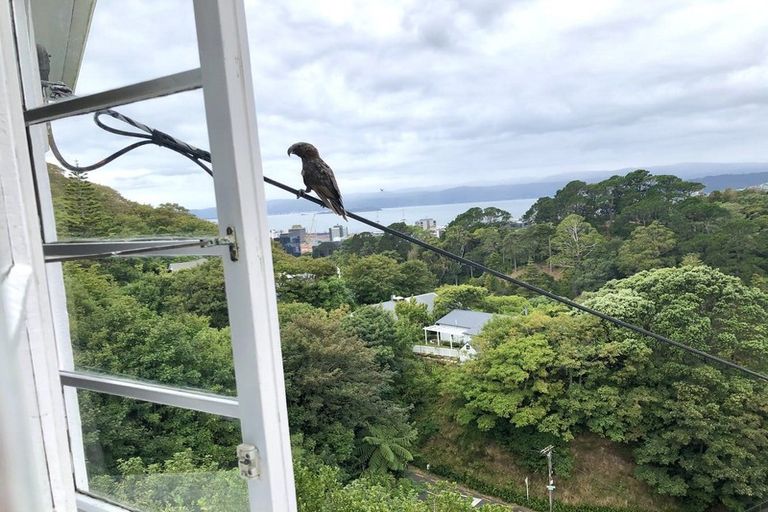 Photo of property in 9/71 Garden Road, Northland, Wellington, 6012