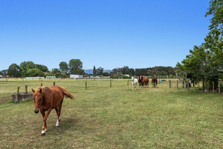 Photo of property in 323b Hallett Road, Otakiri, Whakatane, 3192