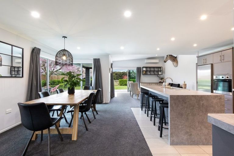 Photo of property in 9 Soma Place, Cambridge, 3434