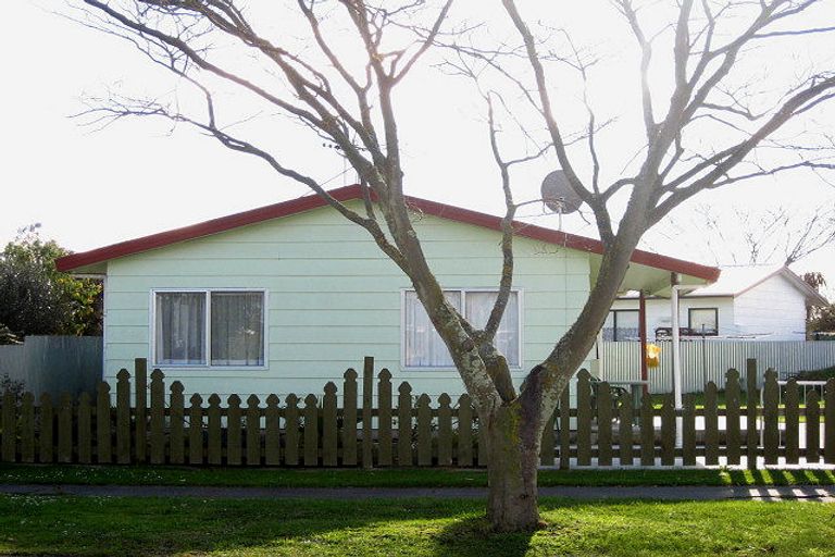 Photo of property in 403a Hemi Street, Raureka, Hastings, 4120