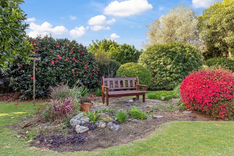 Photo of property in 14 Shaw Avenue, Paeroa, 3600