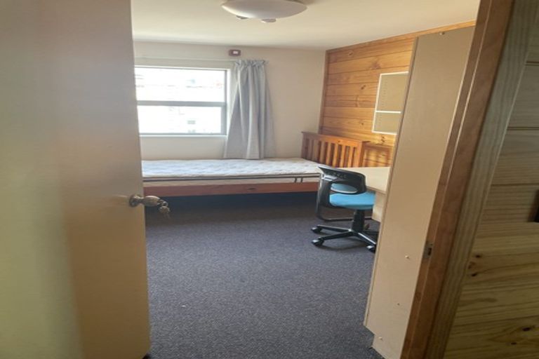 Photo of property in Drummond Street Flats, 25/19u Drummond Street, Mount Cook, Wellington, 6021