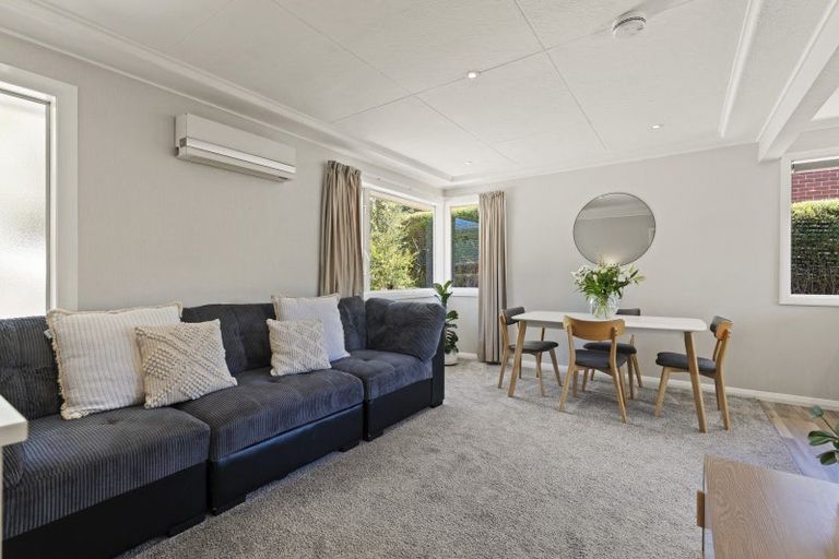 Photo of property in 25 Duckworth Street, Andersons Bay, Dunedin, 9013