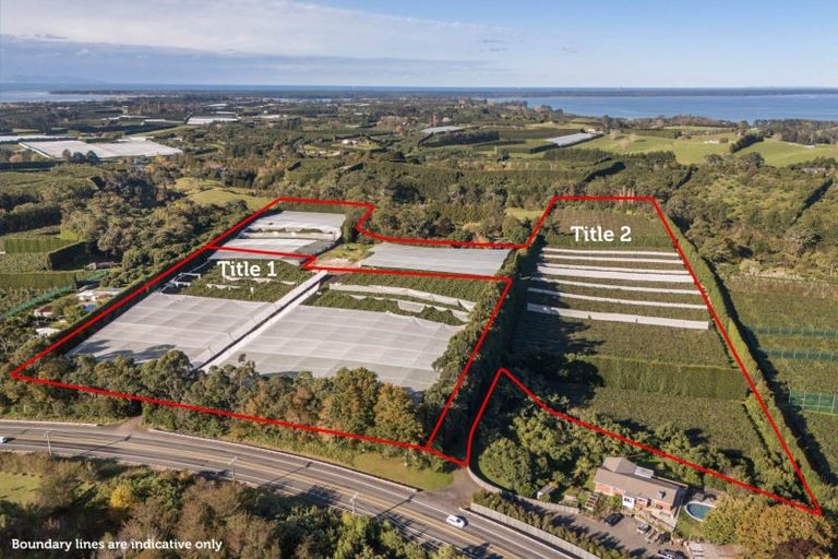 Photo of property in 416 State Highway 2, Tahawai, Katikati, 3170