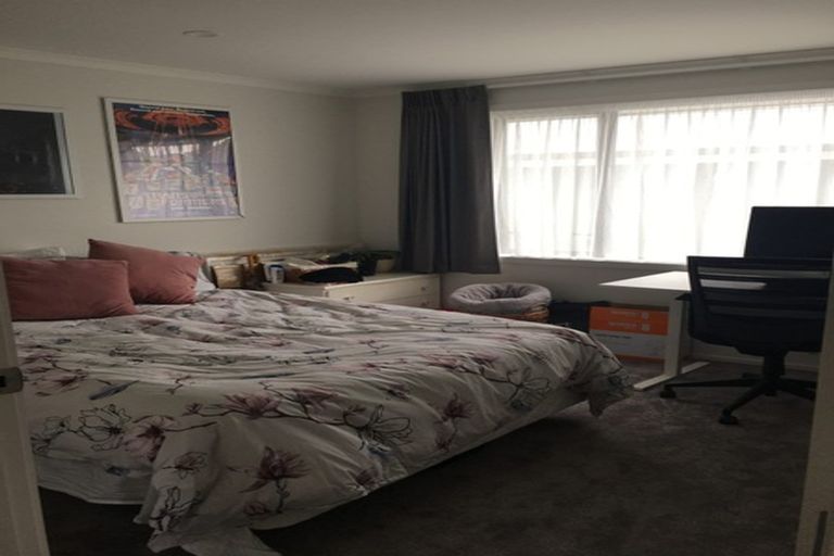 Photo of property in 11a Newhaven Place, Roslyn, Palmerston North, 4414