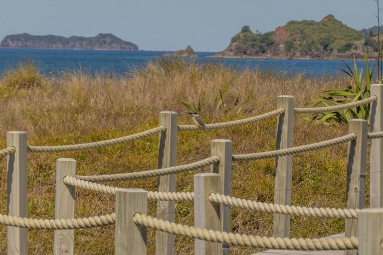 Photo of property in 69 Skippers Road, Opito Bay, Whitianga, 3592