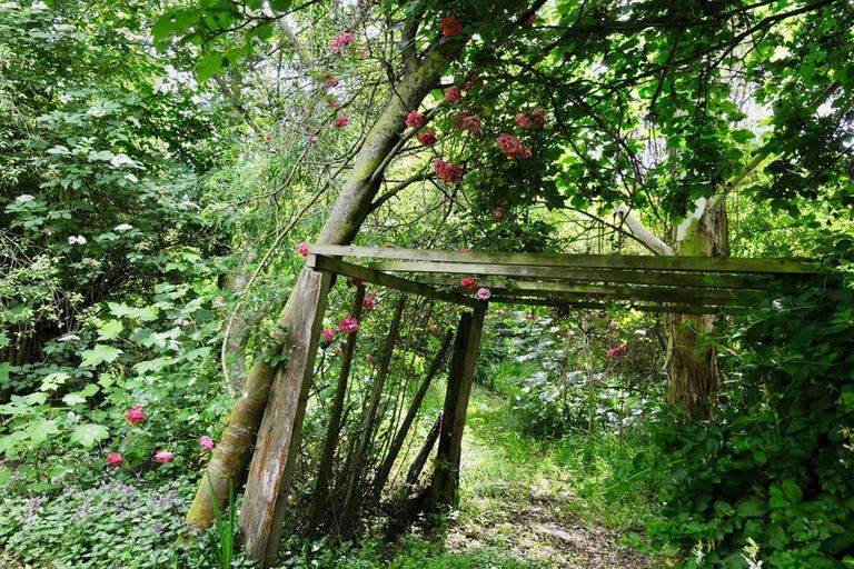 Photo of property in 669 Whitstone-five Forks Road, Five Forks, Oamaru, 9492